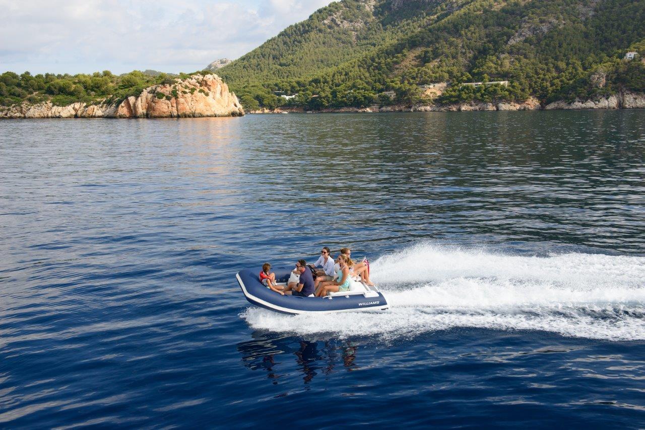Williams SportJet 345