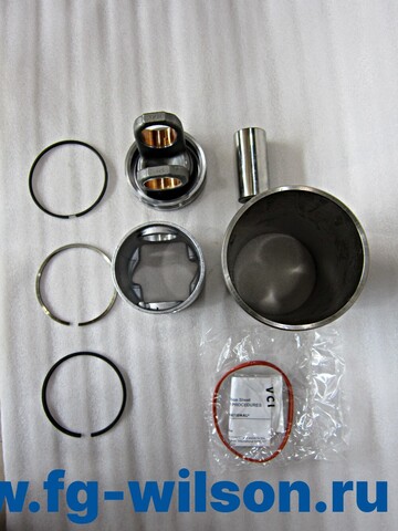 Поршень в сборе с кольцами и гильзой / KIT,PISTON/LINE АРТ: 10000-50041