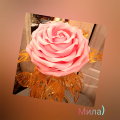 Розовый