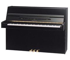 Samick JS043D EBHP