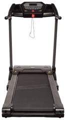 Intensor T300