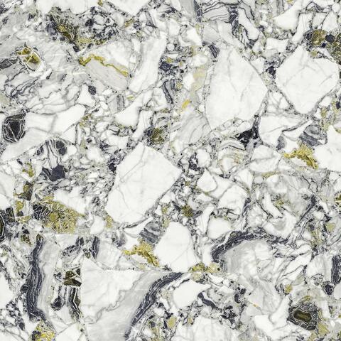 Atlas Concorde Russia Forte Dei Marmi Quark Ceppo Apuano Forest Rett 80x80