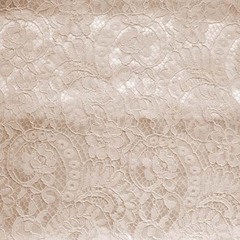 Кружевное полотно корд на трикотажной основе, 240 гр/м2, 150 см, бежевый