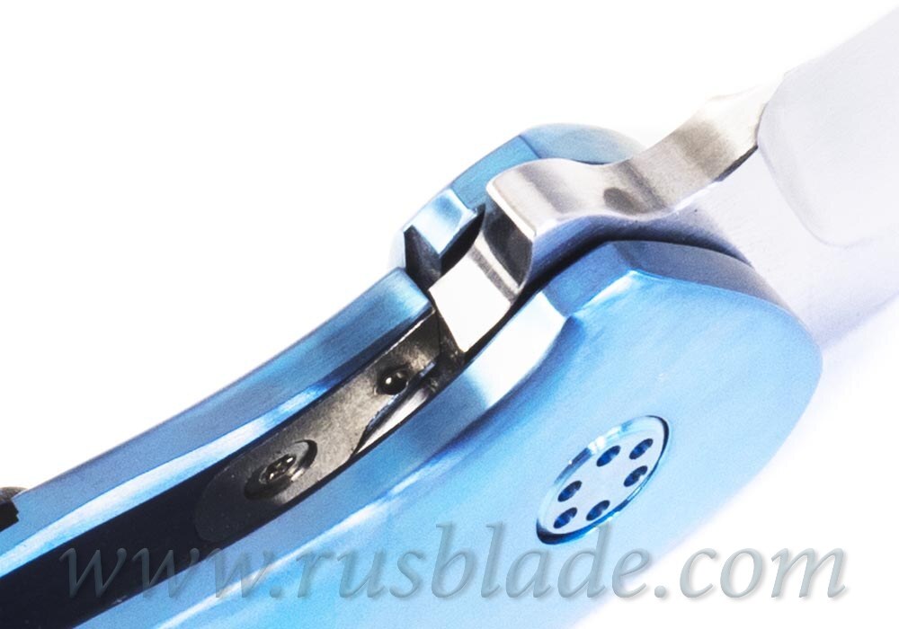Gichkin Igor DOG Blue Full Custom - фотография 