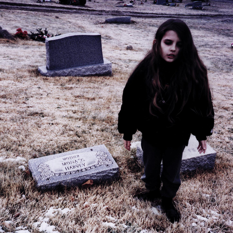 Виниловая пластинка. Crystal Castles – Crystal Castles (II)