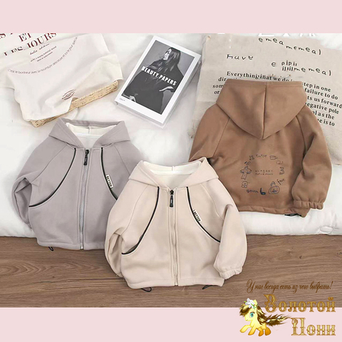 Толстовка хл/начес м (1-6) 260829-Y1061