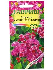 Агератум Кардинал Бордо (Гавриш)