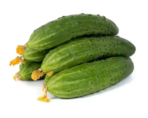Огурцы 