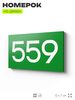 Номер на дверь 559, табличка на дверь для офиса, квартиры, кабинета, аудитории, склада, зеленая 120х70 мм, Айдентика Технолоджи