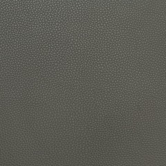 Искусственная кожа Dollaro grey glossy (Долларо грей глосси)