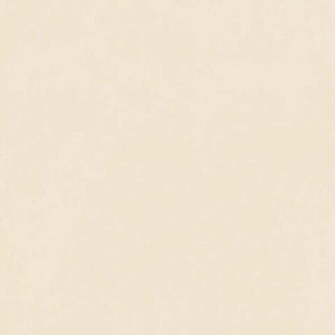 41zero42 Nok Ivory 120x120