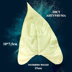 Молды для творчества 