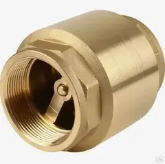Клапан обратный 2", Maxpump