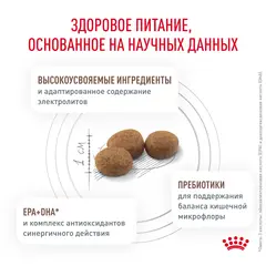 Сухой корм для собак Royal Canin Gastrointestinal Low Fat диетический при расстройствах пищеварения, 12 кг
