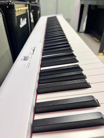 CASIO CDP-S110