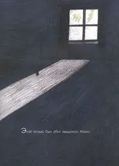 Во всём виноват кот