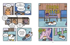 Приключения котика и кошечки. Книга 4. Посох Знаний
