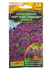 Алиссум Норт Фэйс Лавендер (Аэлита)