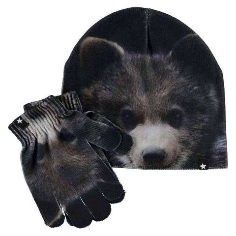 Molo Kaya Teddy
