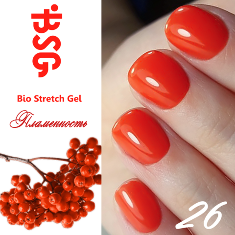 BSG №26 Паменность купить за 450&nbsp;руб