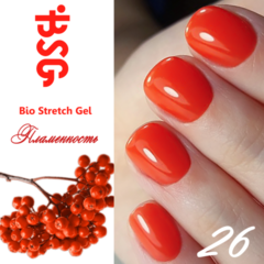 BSG №26 Паменность BSG №26 Паменность