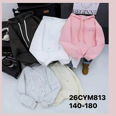 Толстовка-худи хлопок (10-15) 251220-R2138