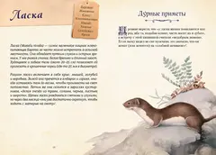 Магические животные. Легенды и суеверия