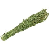 Веник лофант анисовый - 4