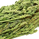 Лофант анисовый (сушеный) - 5