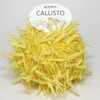 Пряжа CALLISTO Rodina Yarns