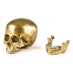 Статуэтка Wunderkrammer Human Skull