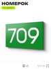 Номер на дверь 709, табличка на дверь для офиса, квартиры, кабинета, аудитории, склада, зеленая 120х70 мм, Айдентика Технолоджи