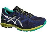 Кроссовки беговые Asics Gel GT-2000 4 G-TX мужские
