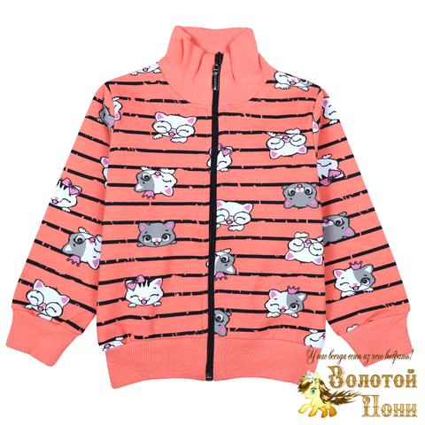 Толстовка хлопок девочке (1-4) 230322-BK1728B.1