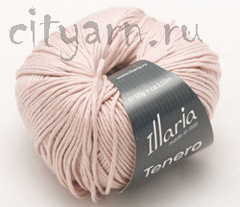 004) пыльная роза
