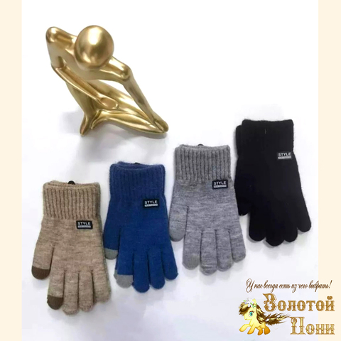 Перчатки сенсор/начес мальчику (12-13) 240824-V5025