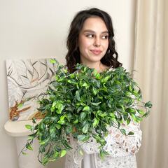 Ампельное растение, зелень искусственная свисающая, зеленая, 46 см, набор 2 букета