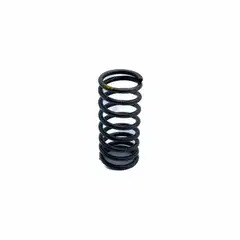 Пружина клапана, внутренняя / Valve inner spring АРТ: C3000-1003117