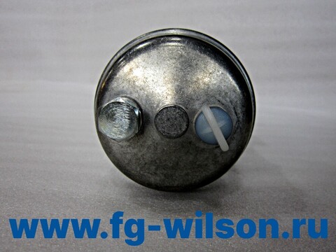 Фильтр топливный, в сборе / FUEL FILTER АРТ: 10000-65695