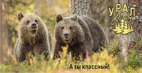 Урал Сувенир - Кружка Урал №0072 Два медведя 