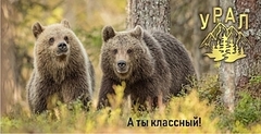 Урал Сувенир - Кружка Урал №0072 Два медведя 