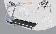 Электрическая беговая дорожка KARINA