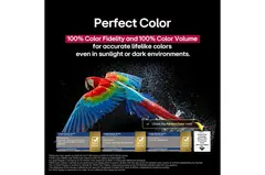 Телевизор LG OLED evo AI OLED97M59LA (2025) 97" 4K UHD Smart TV (Беспроводной)