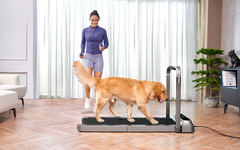 Беговая дорожка KingSmith WalkingPad R2