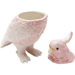 Банка декоративная Exotic Bird «Экзотическая птица» 23 см