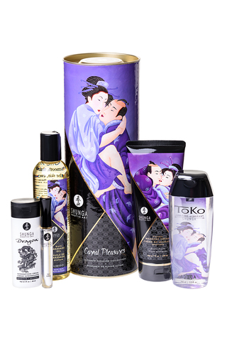 Подарочный набор Shunga «Плотские утехи» Carnal Pleasures, 5 средств