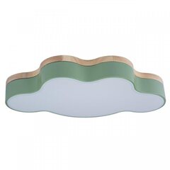 Потолочный светодиодный светильник Loft It Axel 10005/30 Green