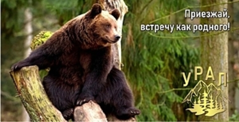 Урал Сувенир - Кружка Урал №0071 Медведь 