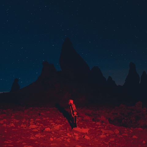 Виниловая пластинка. Phoebe Bridgers – Punisher