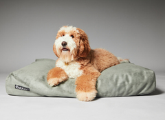 Лежанка для собак Lounge Moss COBBER